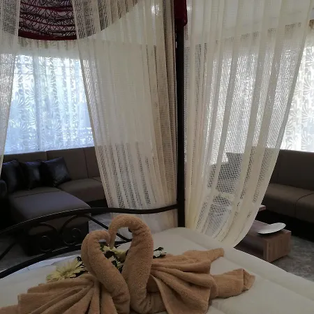 Apartament Cozy Loft